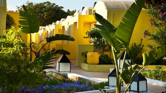 Samira Club Standard 