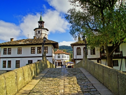 Цветница в музей 