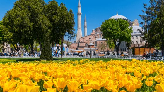 Фестивал на лалето 2026 в Истанбул - Три дни