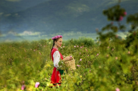 Празник на розата в Казанлък