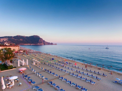 Lonicera City Kleopatra