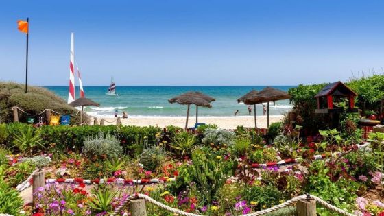 Приключение в Тунис – от златните пясъци на Сахара до Картаген и Сиди Бу Саид