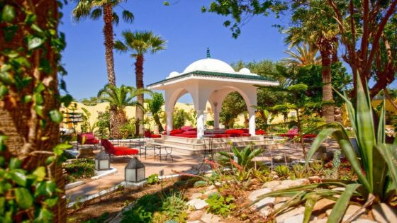 SIMBA CLUB - Samira Club Standard